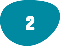 Paso 2